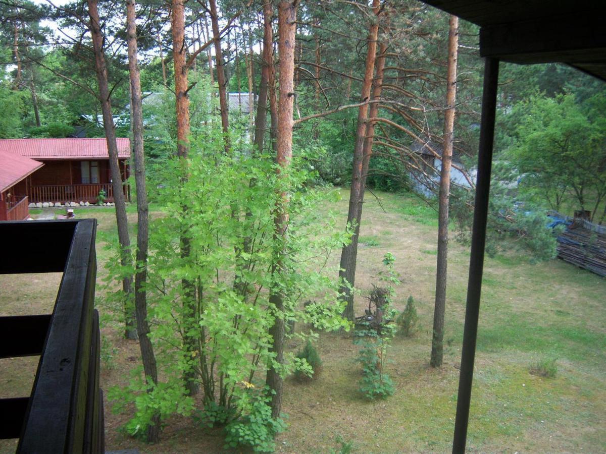 Forest Villa Susiec Buitenkant foto